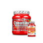 AMIX CREATINA 300G + REGALO 30CAP