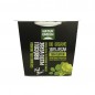 CREMA BROCOLI AL PESTO VERDE 310GR NATURGREEN CREMA BROCOLI AL PESTO VERDE 310GR NATURGREEN