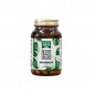 EXPERIENCE MORINGA 90COMP. NATURGREEN EXPERIENCE MORINGA 90COMP. NATURGREEN