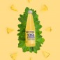 KOMBUCHA PIÑA Y HIERBABUENA 330ML VIVER