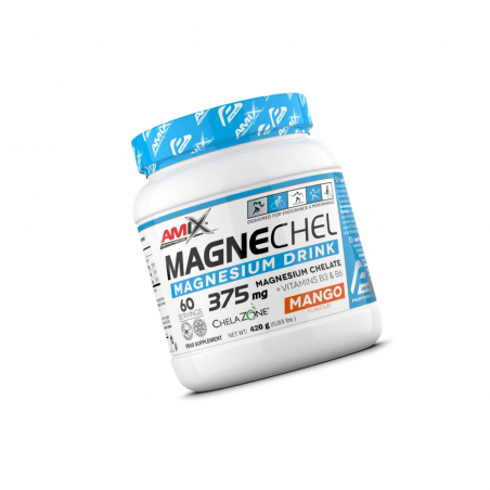 PERFORMANCE MAGNECHEL DRINK 420GR MANGO AMIX