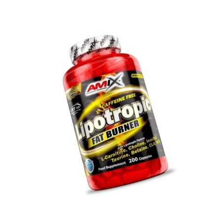 LIPOTROPIC FAT BURNER 200CAP AMIX