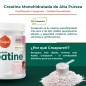 CREATINA CREAPURE 320G SABOR LOLLIPOP TORAFOOD CREATINA CREAPURE 320G SABOR LOLLIPOP TORAFOOD