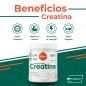 CREATINA CREAPURE 300G SABOR NEUTRO TORAFOOD CREATINA CREAPURE 300G SABOR NEUTRO TORAFOOD