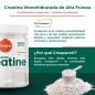 CREATINA CREAPURE 300G SABOR NEUTRO TORAFOOD CREATINA CREAPURE 300G SABOR NEUTRO TORAFOOD