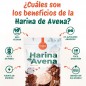 HARINA DE AVENA SABOR BROWNIE DE 1KG TORAFOOD HARINA DE AVENA SABOR BROWNIE DE 1KG TORAFOOD