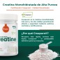 CREATINA CREAPURE 500G SABOR NEUTRO TORAFOOD CREATINA CREAPURE 500G SABOR NEUTRO TORAFOOD