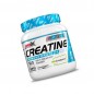PERFORMANCE CREATINE CREAPURE 300GR AMIX