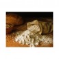 HARINA MIX RUSTICO DUNKEL SIN GLUTEN 1KG SCHAR HARINA MIX RUSTICO DUNKEL SIN GLUTEN 1KG SCHAR