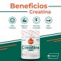 CREATINA CREAPURE 500G SABOR NEUTRO TORAFOOD