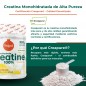 CREATINA CREAPURE 320G SABOR PIÑA COLADA TORAFOOD CREATINA CREAPURE 320G SABOR PIÑA COLADA TORAFOOD