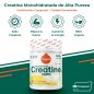 CREATINA CREAPURE 320G SABOR PIÑA COLADA TORAFOOD CREATINA CREAPURE 320G SABOR PIÑA COLADA TORAFOOD