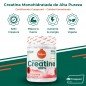 CREATINA CREAPURE 320G SABOR LOLLIPOP TORAFOOD CREATINA CREAPURE 320G SABOR LOLLIPOP TORAFOOD