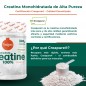 CREATINA CREAPURE 300G SABOR NEUTRO TORAFOOD
