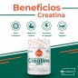 CREATINA CREAPURE 300G SABOR NEUTRO TORAFOOD