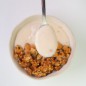RICE CREAM SPECULOOS 500G PROTELLA RICE CREAM SPECULOOS 500G PROTELLA