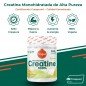CREATINA CREAPURE 320G SABOR MELON TORAFOOD CREATINA CREAPURE 320G SABOR MELON TORAFOOD