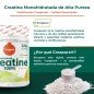 CREATINA CREAPURE 320G SABOR MELON TORAFOOD CREATINA CREAPURE 320G SABOR MELON TORAFOOD