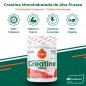 CREATINA CREAPURE 320G SABOR SANDIA TORAFOOD CREATINA CREAPURE 320G SABOR SANDIA TORAFOOD