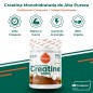 CREATINA CREAPURE 320G SABOR COLA TORAFOOD