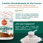 CREATINA CREAPURE 320G SABOR COLA TORAFOOD