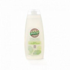 CHAMPU ALOE GINGKO BILOBA 400 ML BIOCOP
