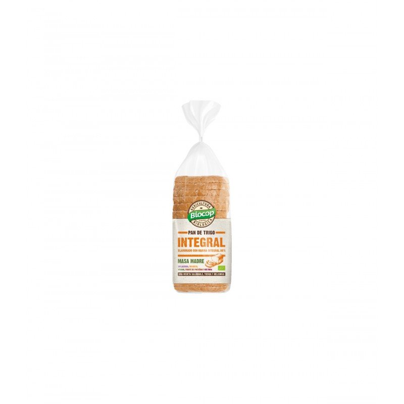 PAN MOLDE TRIGO INTEGRAL MASA MADRE 400g BIOCOP