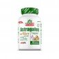 AMIX GREENDAY PROVEGAN ASTRAGALUS EXTRAC 90TAB