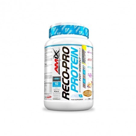 AMIX PERFORMANCE RECO-PRO RECOVERY 500GR FRUT B