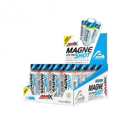 AMIX PERFORMANCE MAGNESHOT FORTE 20X60ML NARANJA