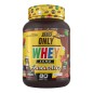 PROTEINA ONLY WHEY TOLERASE 1KG LACASITOS BIG