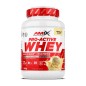PROTEINA PRO ACTIVE WHEY 1KG VAINILLA AMIX