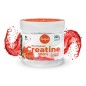 CREATINE MONOHYDRATE SANDIA 220G TORAFOOD
