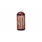 AMIX CHAMPION SPORT FUEL 1000ML